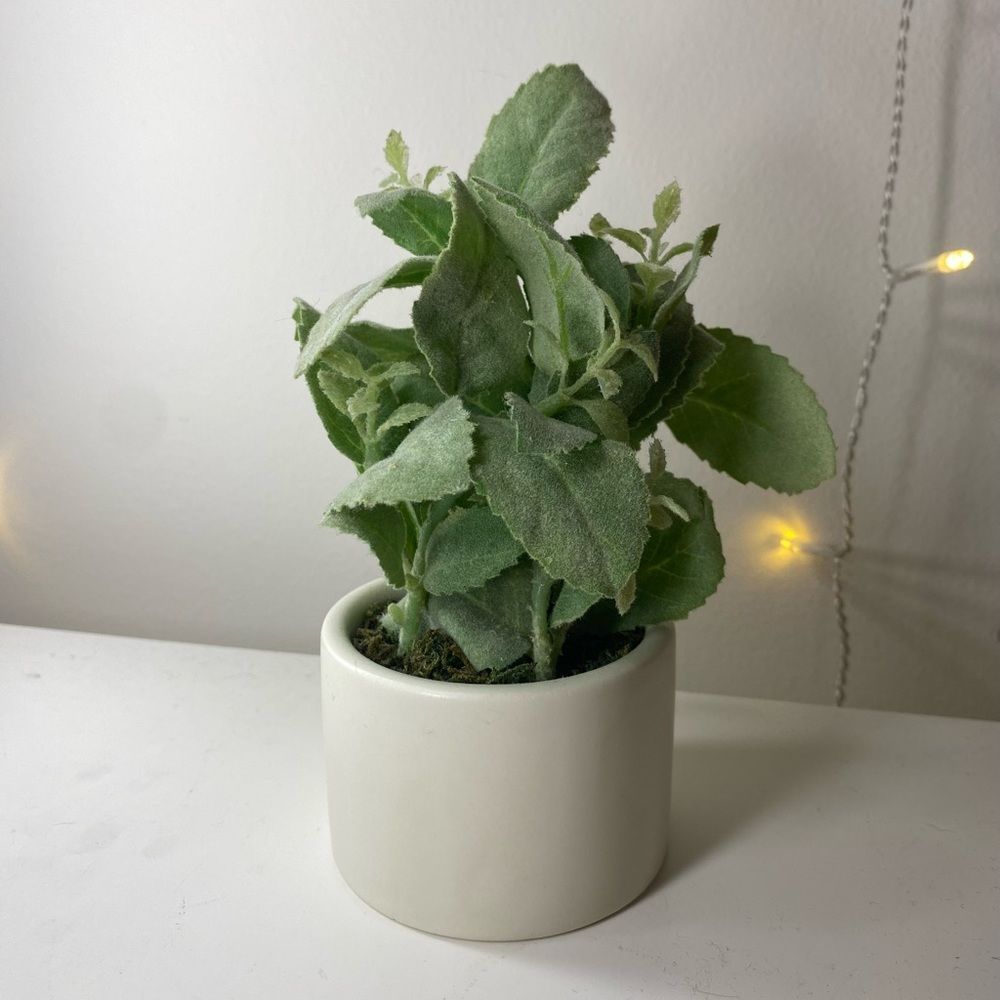 Hearth and Hand FAKE PLANT